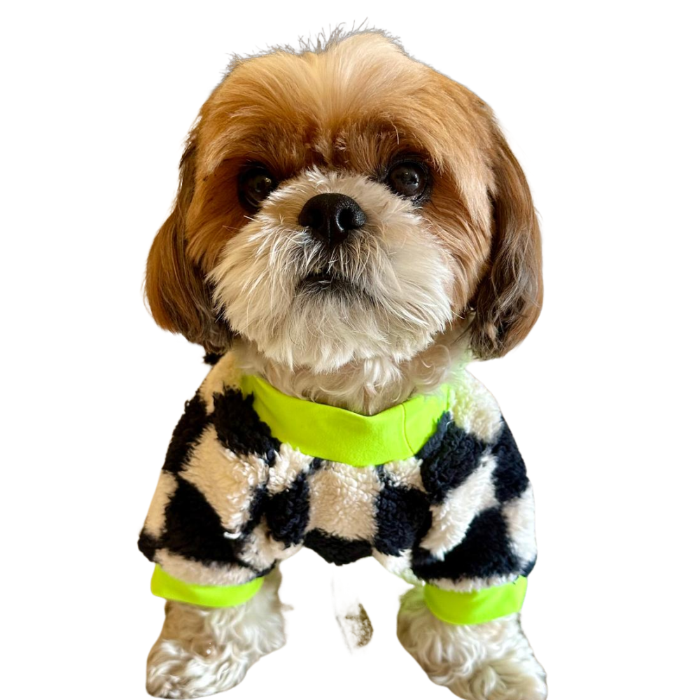 Woofiezz Soft & Cosy Checked Winter Sweater for Dogs and Cats (Green) Both-Clothing & Accessories Woofiezz Dropship XS