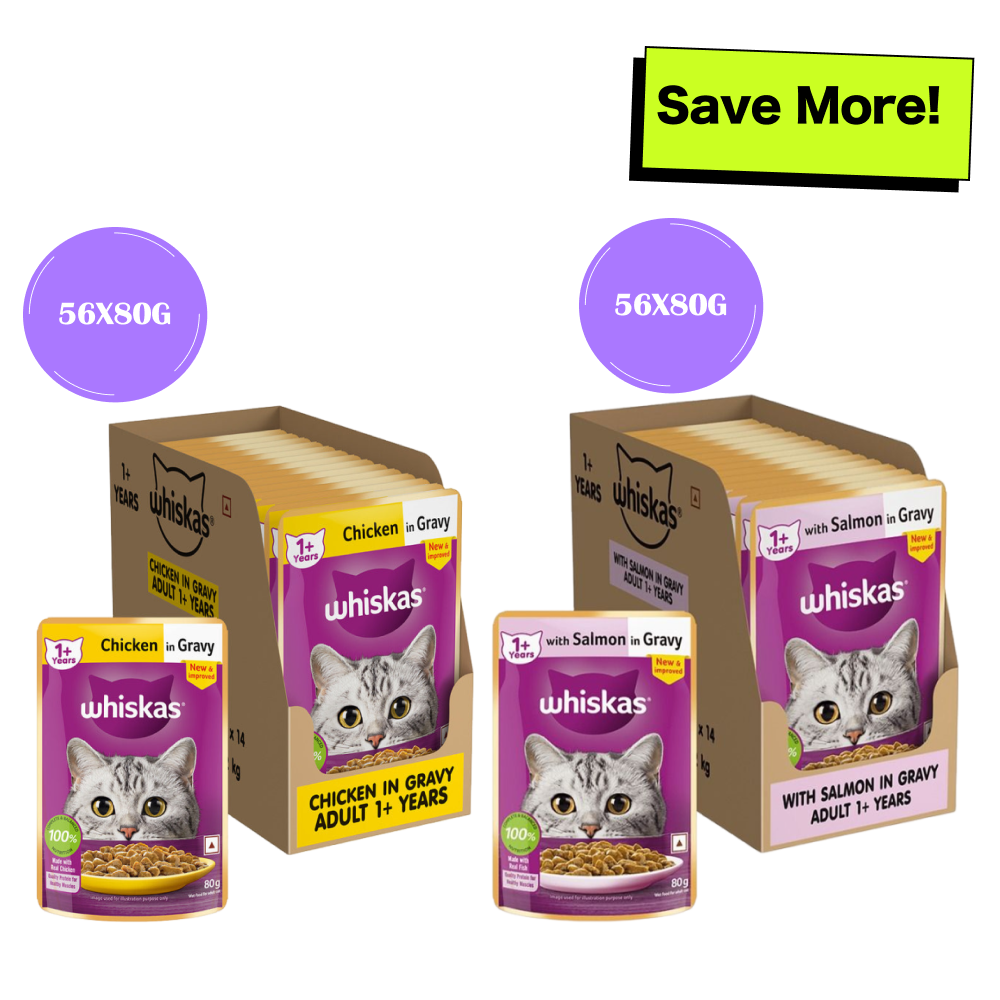 Whiskas Salmon in Gravy Meal and Chicken Gravy Adult Cat Wet Food Combo Cats-Wet Food Whiskas 112x80g