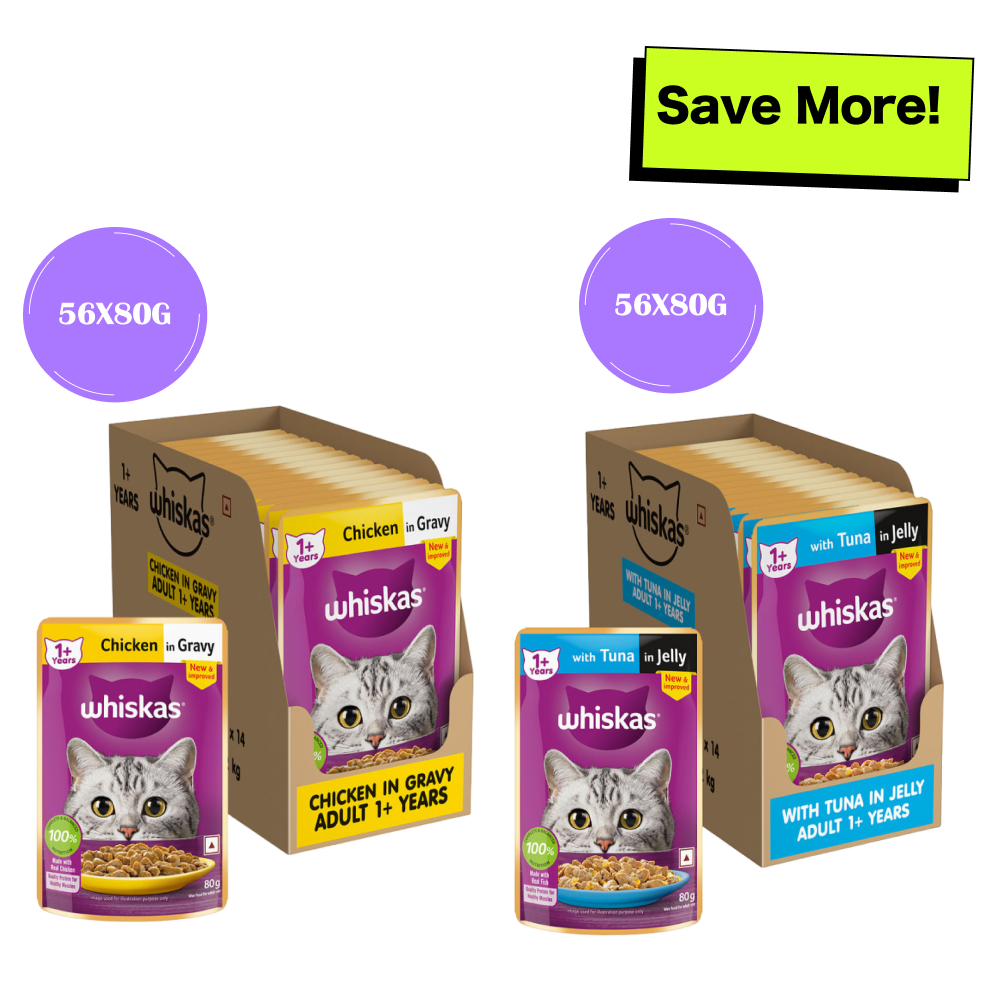 Whiskas Tuna in Jelly Meal and Chicken Gravy Adult Cat Wet Food Combo Cats-Wet Food Whiskas