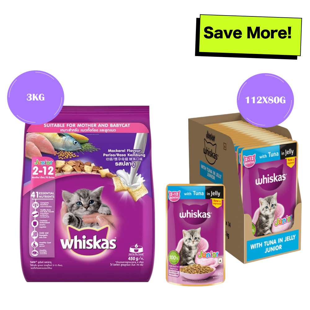Whiskas Tuna in Jelly Kitten Wet Food and Mackerel Flavour Kitten (2 to 12 months) Dry Food Combo