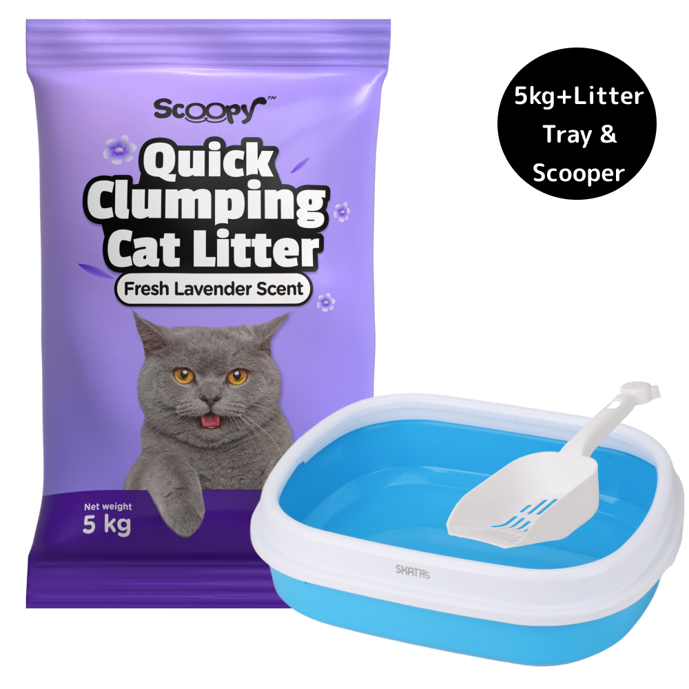 Scoopy Quick Clumping Lavender Scented Litter with Skatrs Litter Tray and Scooper for Cats