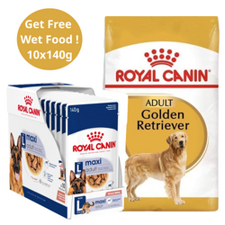 Royal Canin Golden Retriever Adult Dog Dry Food (Get Free Wet Food)
