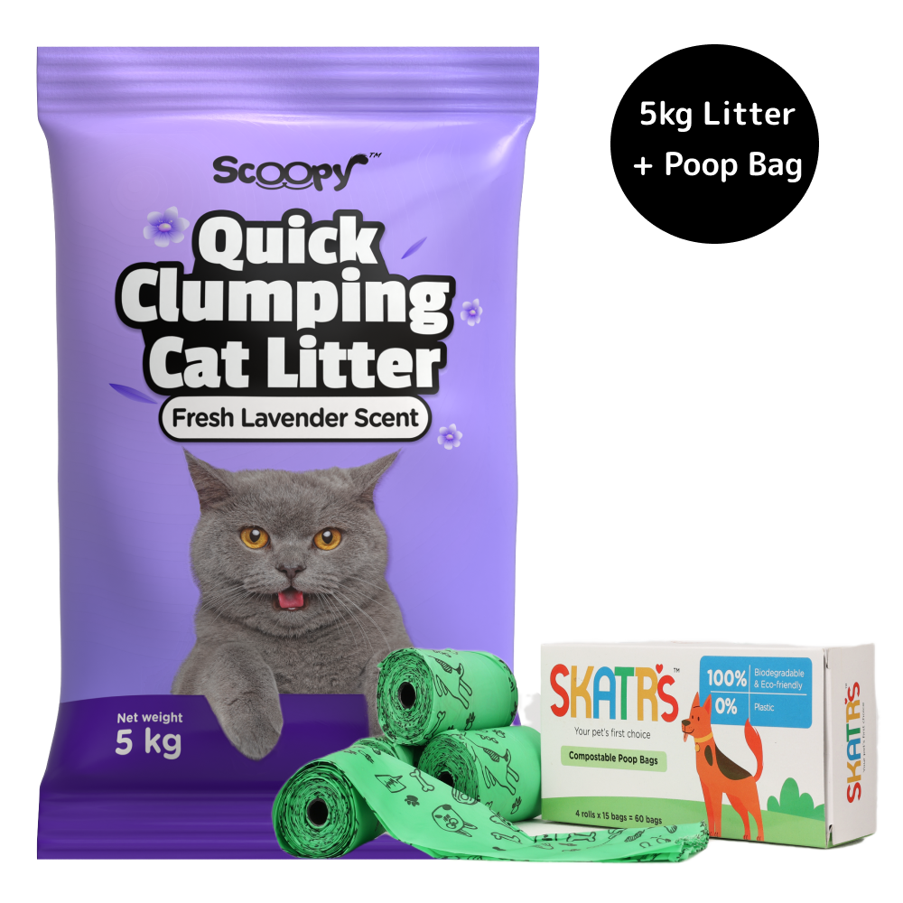 Scoopy Quick Clumping Lavender Scented Litter with Skatrs Poop Bag for Cats Combo