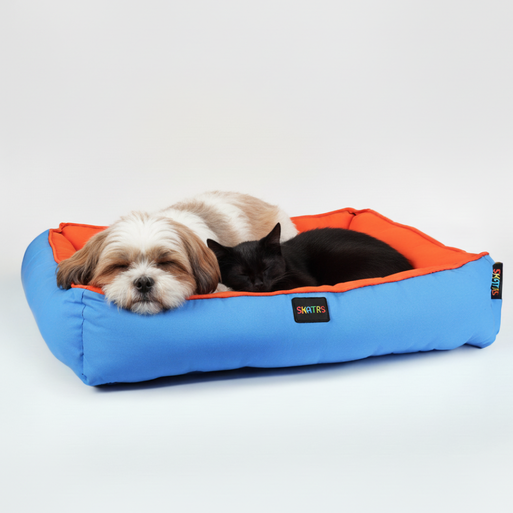 Skatrs Square Shaped Bed for Dogs & Cats (Orange & Blue) Both-Bedding, Mats & Travel Supplies Skatrs
