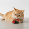 Skatrs Ladybug Catnip Ball Toy for Cats Cats-Toys Skatrs