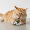 Skatrs Hedgehog Catnip Ball Toy for Cats Cats-Toys Skatrs 65x50mm