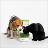 Skatrs Water Dispenser for Dogs and Cats Both-Bowls & Feeders Skatrs
