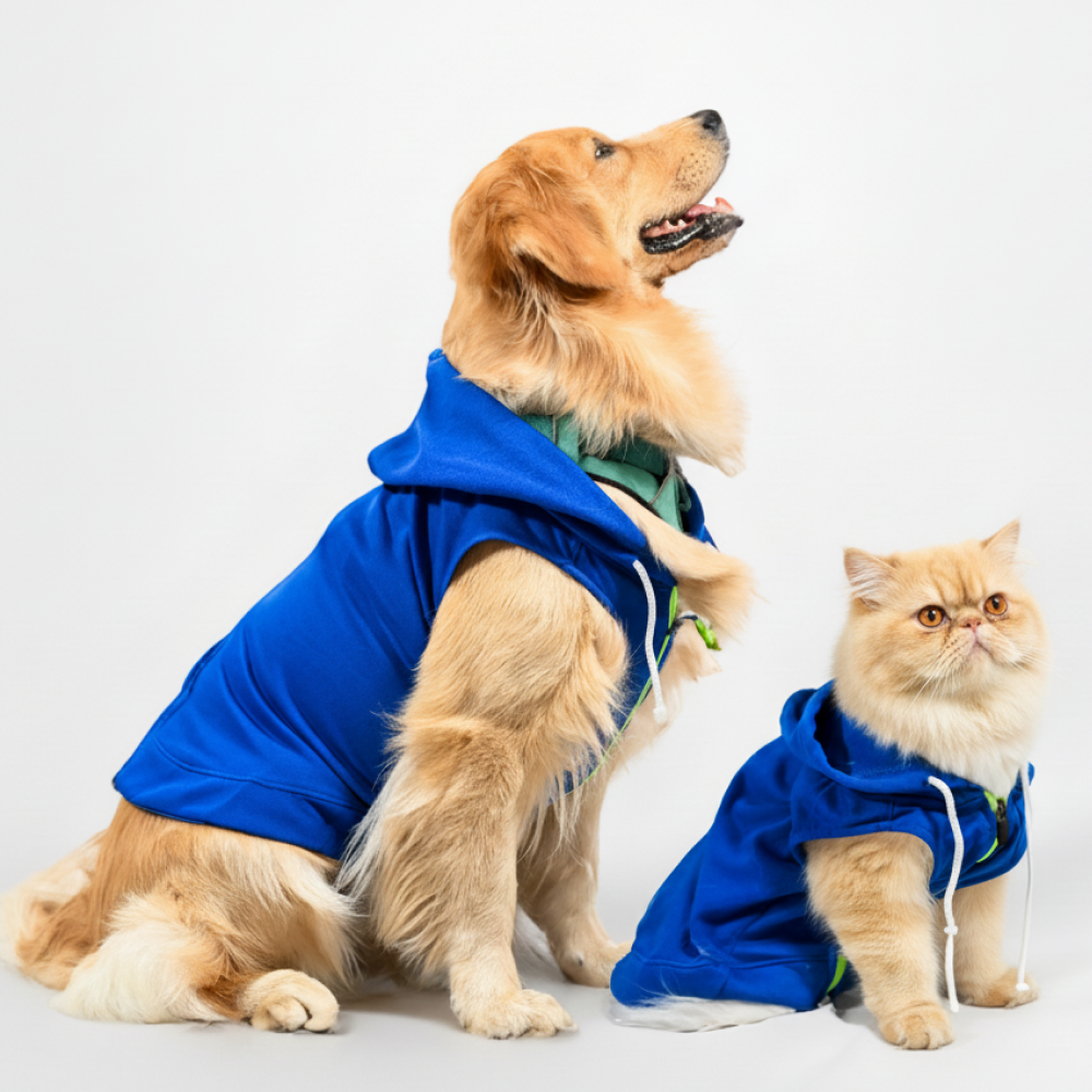 Skatrs Breezy Hoodie with Pockets for Dog and Cats (Blue) Both-Clothing & Accessories Skatrs
