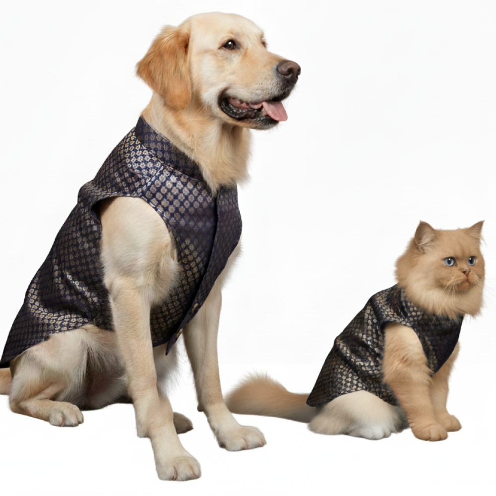 Skatrs Brocade Gold Printed Sherwani for Dogs and Cats (Blue) Both-Clothing & Accessories Skatrs