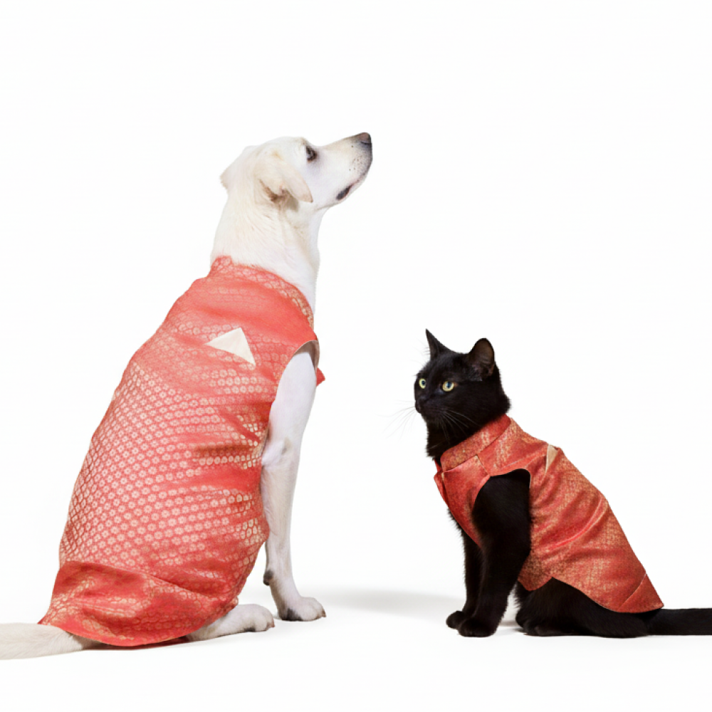 Skatrs Brocade Gold Printed Sherwani for Dogs and Cats (Red) Both-Clothing & Accessories Skatrs