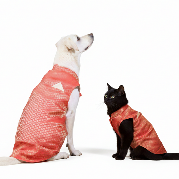 Skatrs Brocade Gold Printed Sherwani for Dogs and Cats (Red)