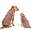 Skatrs Burgundy Regal Ensembl Festive Grace Sherwani for Dogs and Cats Both-Clothing & Accessories Skatrs