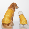 Skatrs Festive Sequence Embroidered Sherwani for Cats and Dogs (Yellow) Both-Clothing & Accessories Skatrs
