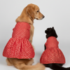 Skatrs Festive Mirror Lehenga for Cats and Dogs (Red) Both-Clothing & Accessories Skatrs M