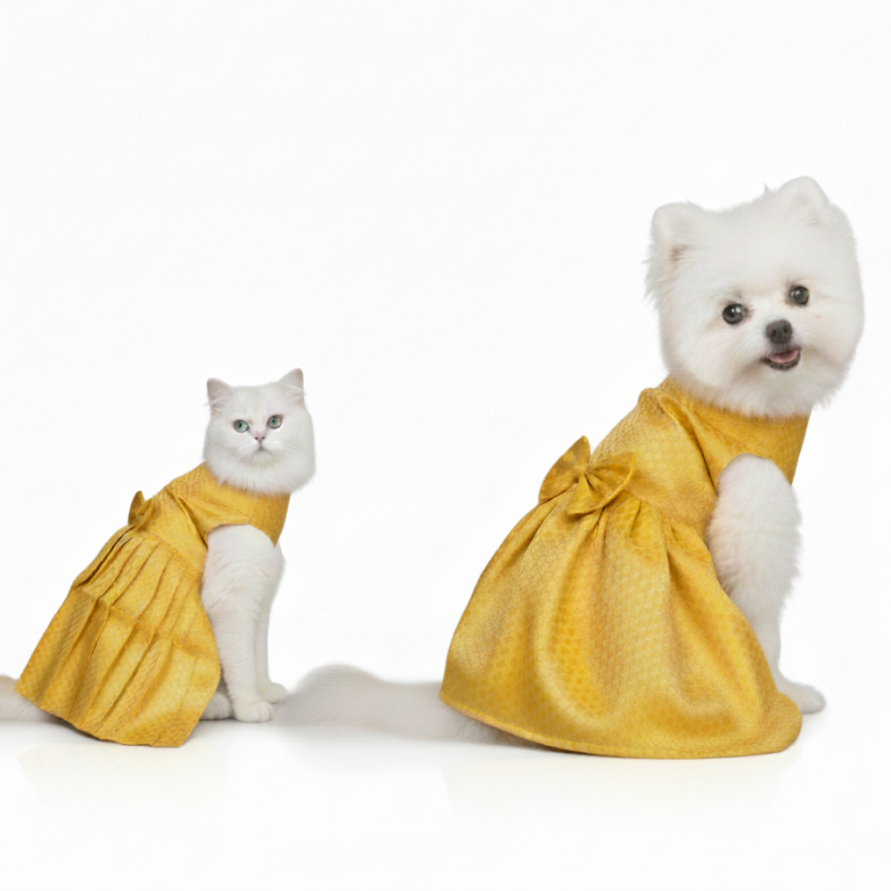 Skatrs Brocade Gold Printed Dress for Dogs and Cats (Yellow) Both-Clothing & Accessories Skatrs XXL