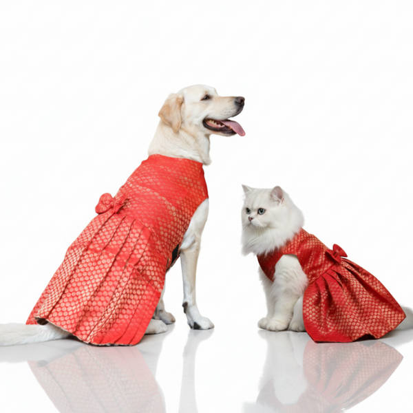 Skatrs Brocade Gold Printed Dress for Dogs and Cats (Red)
