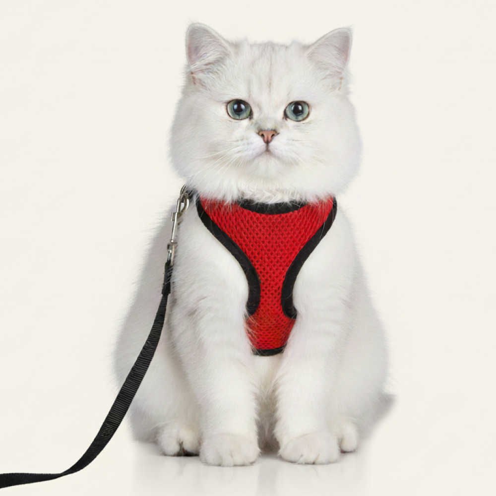 Skatrs Harness with Leash for Cats (Red) Cats-Collar, Leashes, harnesses Skatrs