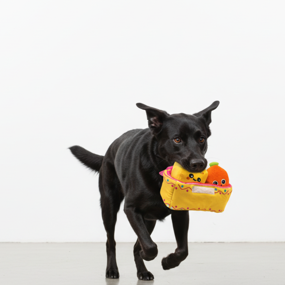 Skatrs Pawldiram Mithai Box Plush Toy for Dogs Both-Toys Skatrs