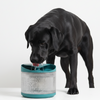 Skatrs Water Fountain for Dogs and Cats (Blue) Both-Bowls & Feeders Skatrs