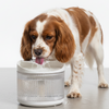 Skatrs Water Fountain for Dogs and Cats (White) Both-Bowls & Feeders Skatrs 2L
