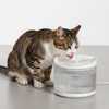 Skatrs Water Fountain for Dogs and Cats (White) Both-Bowls & Feeders Skatrs