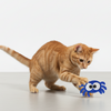 Skatrs Spidey Paws Catnip Toy for Cats Cats-Toys Skatrs 5x5cm