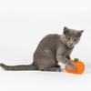 Skatrs Purrkin Spice Catnip Toy for Cats Rewards Cats-Toys Skatrs 5x5cm