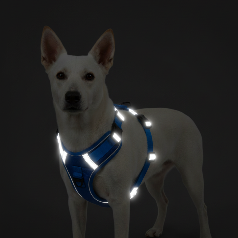 Skatrs Fully Padded Comfort Electric Reflective Harness for Dogs & Cats (Blue) Both-Collar, Leashes, harnesses Skatrs