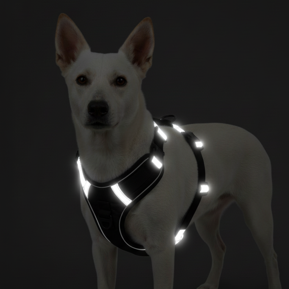 Skatrs Fully Padded Comfort Midnight Reflective Harness for Dogs & Cats (Black) Both-Collar, Leashes, harnesses Skatrs