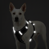 Skatrs Fully Padded Comfort Midnight Reflective Harness for Dogs & Cats (Black) Both-Collar, Leashes, harnesses Skatrs