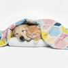 Skatrs ColorPop Blanket for Dogs & Cats Both-Bedding, Mats & Travel Supplies Skatrs 50x40in