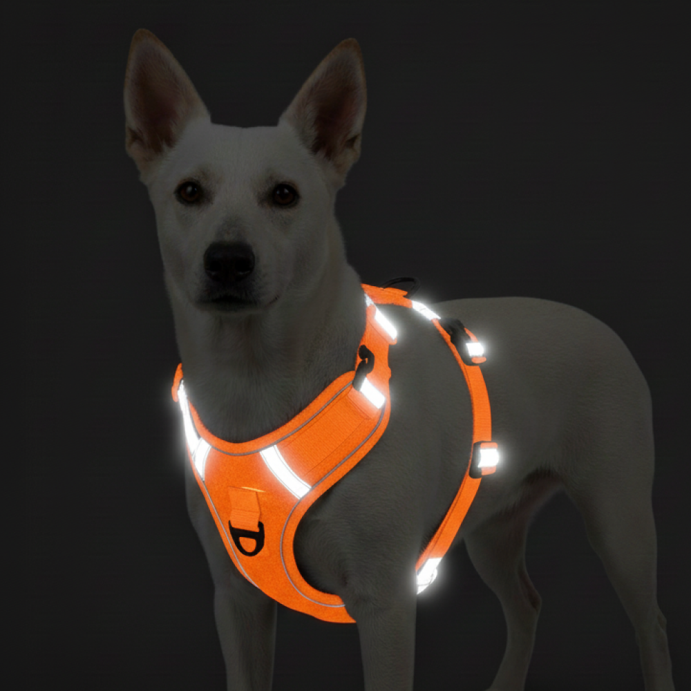 Skatrs Fully Padded Comfort Fiery Reflective Harness for Dogs & Cats (Orange) Both-Collar, Leashes, harnesses Skatrs