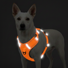 Skatrs Fully Padded Comfort Fiery Reflective Harness for Dogs & Cats (Orange) Both-Collar, Leashes, harnesses Skatrs