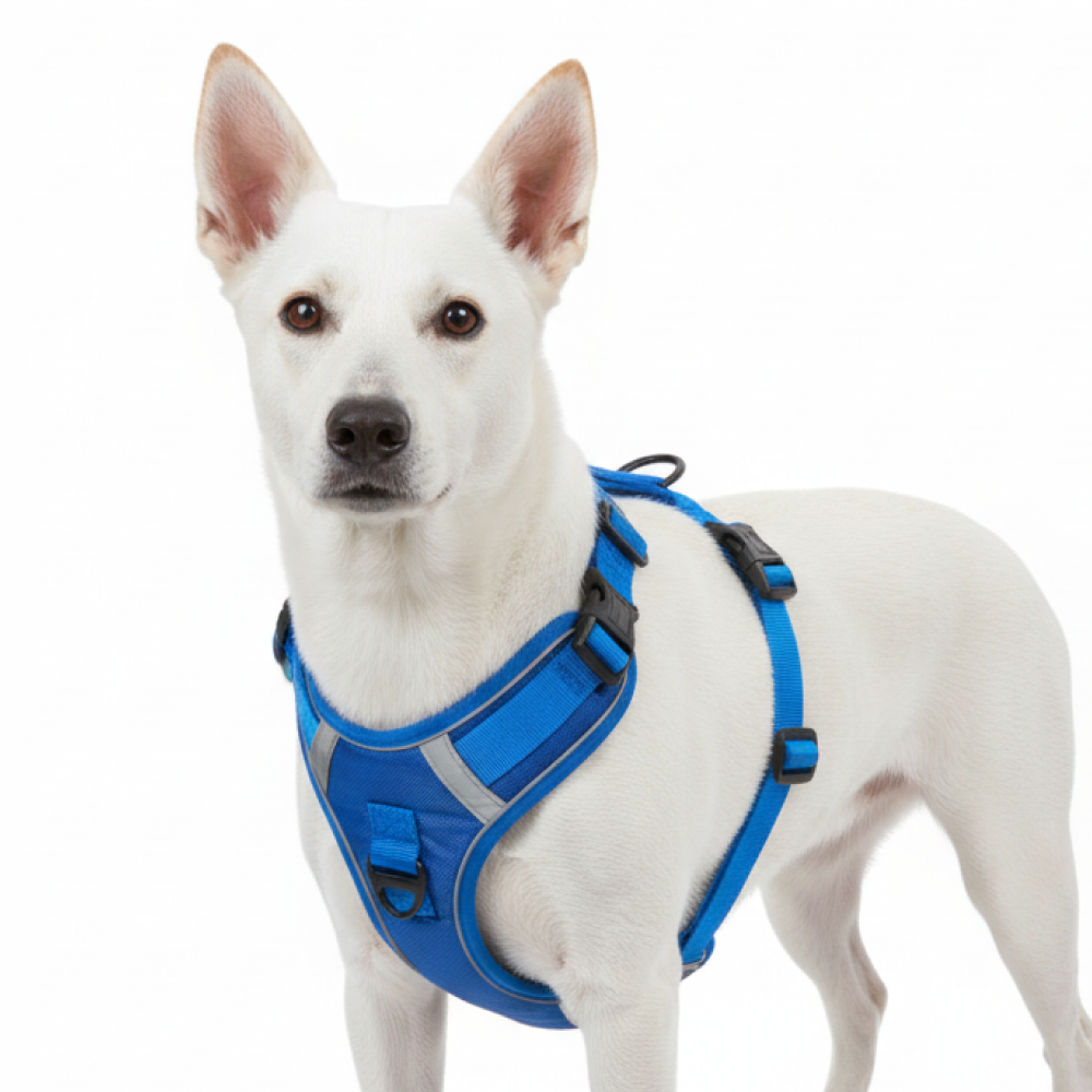 Skatrs Fully Padded Comfort Electric Reflective Harness for Dogs & Cats (Blue) Both-Collar, Leashes, harnesses Skatrs S