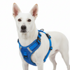Skatrs Fully Padded Comfort Electric Reflective Harness for Dogs & Cats (Blue) Both-Collar, Leashes, harnesses Skatrs S