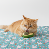 Skatrs Avocado Catnip Ball Toy for Cats Cats-Toys Skatrs 65mm