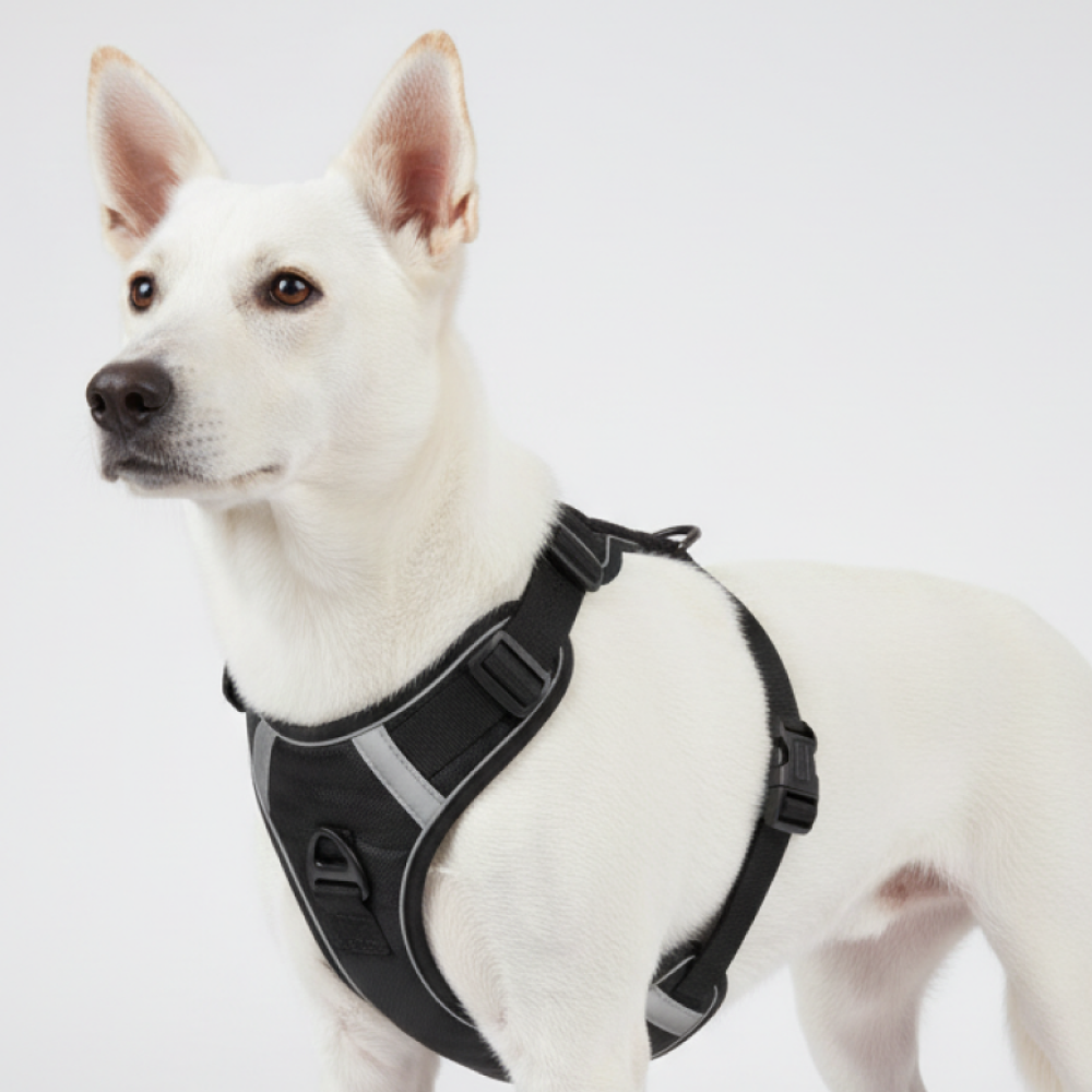 Skatrs Fully Padded Comfort Midnight Reflective Harness for Dogs & Cats (Black) Both-Collar, Leashes, harnesses Skatrs S