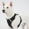 Skatrs Fully Padded Comfort Midnight Reflective Harness for Dogs & Cats (Black) Both-Collar, Leashes, harnesses Skatrs S