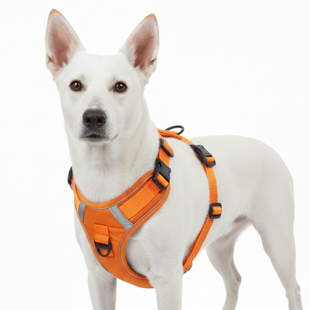 Skatrs Fully Padded Comfort Fiery Reflective Harness for Dogs & Cats (Orange) Both-Collar, Leashes, harnesses Skatrs