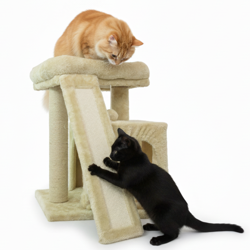 Skatrs Cat Tree Indoor Climbing Activity Tower with Scratching Posts for Cats (Beige) Cats-Toys Skatrs 3.5ft
