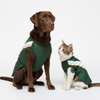 Skatrs Heritage Kurta for Dogs and Cats (Green) Both-Clothing & Accessories Skatrs XXL