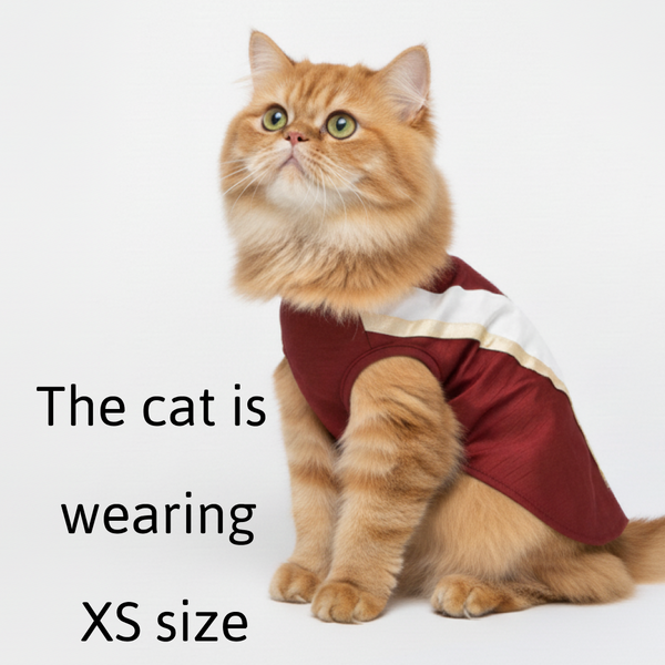 Skatrs Heritage Kurta for Dogs and Cats (Maroon)