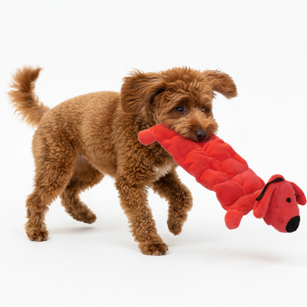 Skatrs Soft & Fun Squeaky Plush Mat Toy for Dogs Both-Toys Skatrs