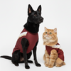 Skatrs Heritage Kurta for Dogs and Cats (Maroon) Both-Clothing & Accessories Skatrs M