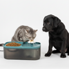 Skatrs Water Fountain with Food Bowl & Adapter for Dogs and Cats (Blue) Both-Bowls & Feeders Skatrs 2L