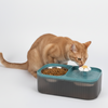 Skatrs Water Fountain with Food Bowl & Adapter for Dogs and Cats (Blue) Both-Bowls & Feeders Skatrs