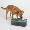 Skatrs Water Fountain with Food Bowl & Adapter for Dogs and Cats (Blue) Both-Bowls & Feeders Skatrs