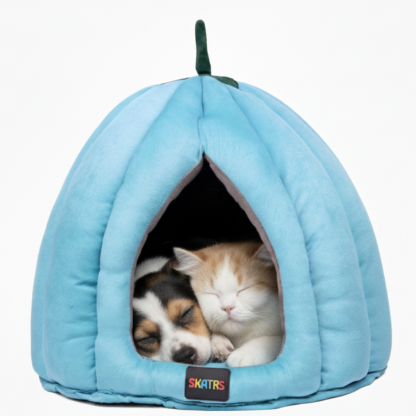 Skatrs Blueberry Dreamy House for Cats and Small Dogs