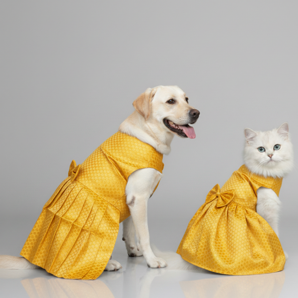 Skatrs Brocade Gold Printed Dress for Dogs and Cats (Yellow)