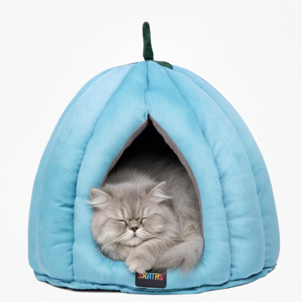 Skatrs Blueberry Dreamy House for Cats and Small Dogs